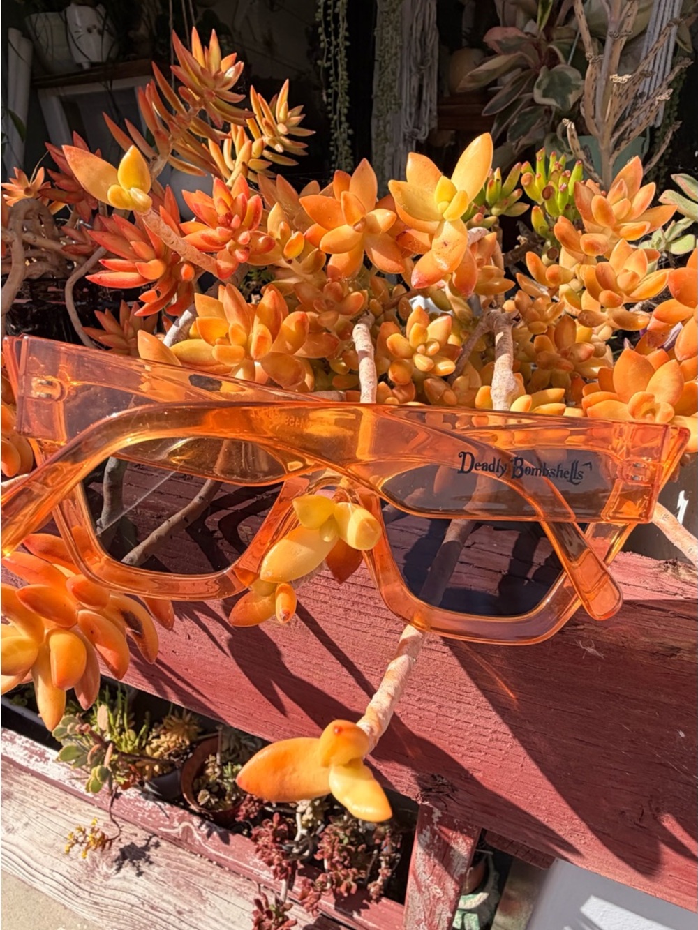 Amazon Orange Cat-Eye Sunglasses - Picture 8 of 8